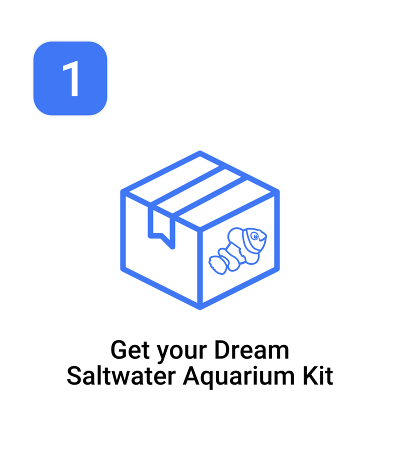 CoralFish12g - Dream Saltwater Aquarium Kit