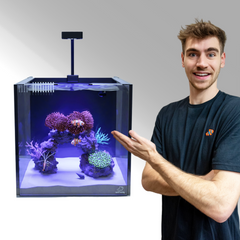 CoralFish12g - Dream Saltwater Aquarium Kit